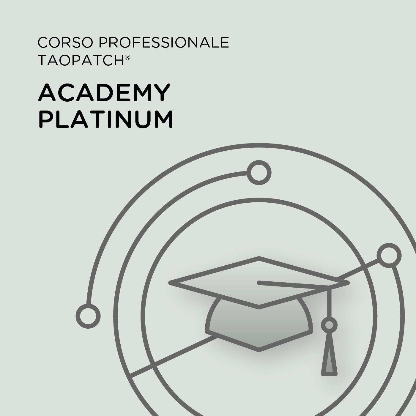CORSO PROFESSIONALE TAOPATCH® ACADEMY PLATINUM